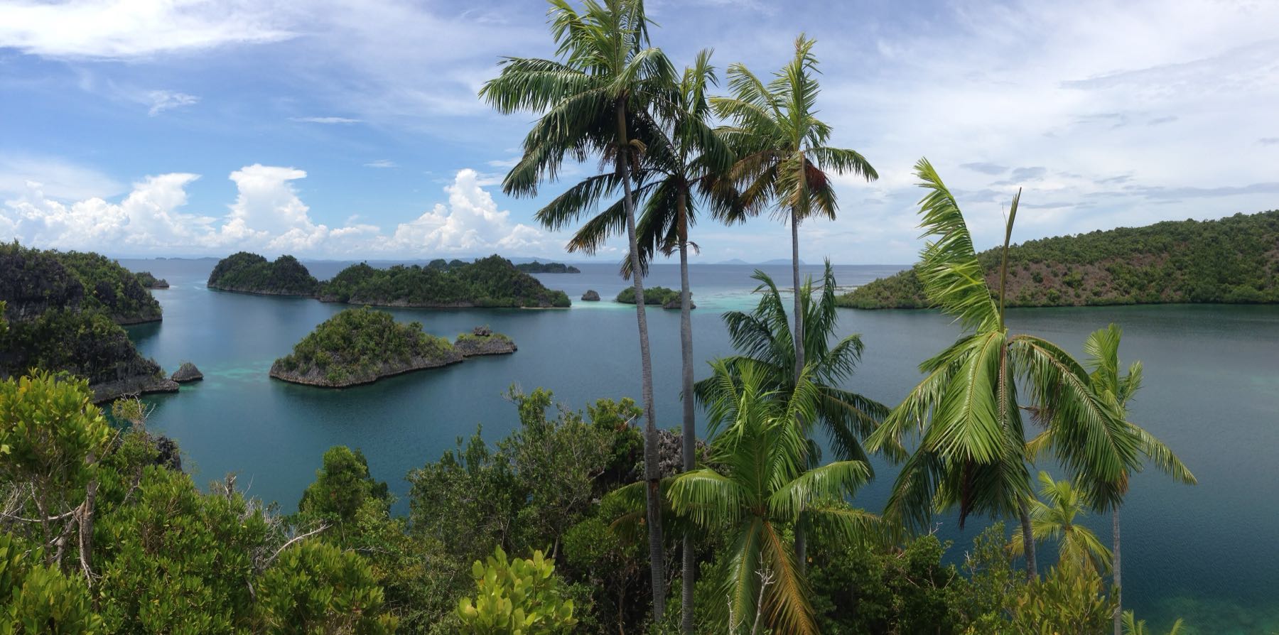 Palm-fringed lagoon