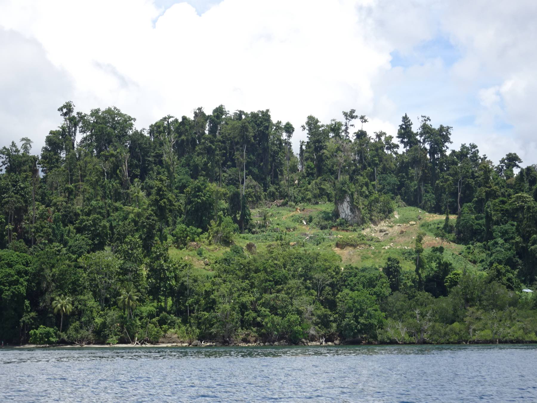 Salawati Island