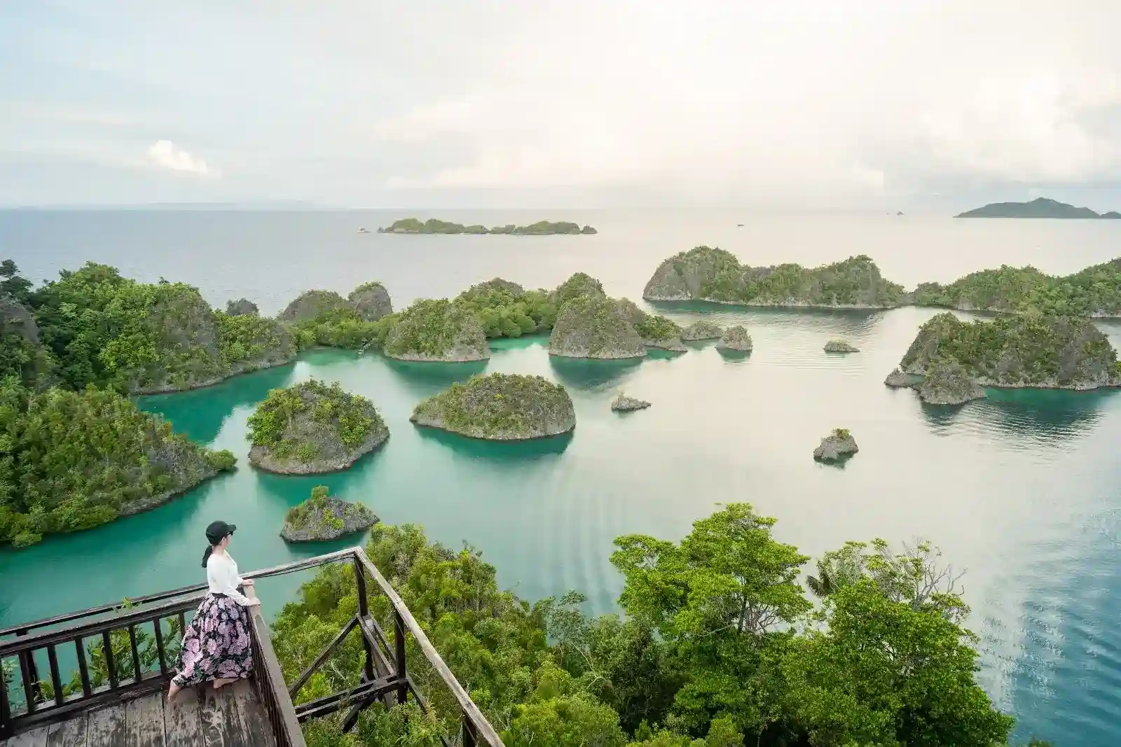 Raja Ampat Cliff Piaynemo | Invest Land Raja Ampat